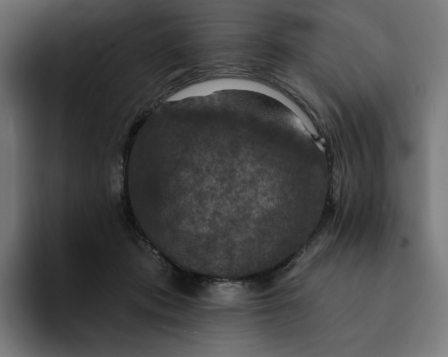 X0000093130413200710101102