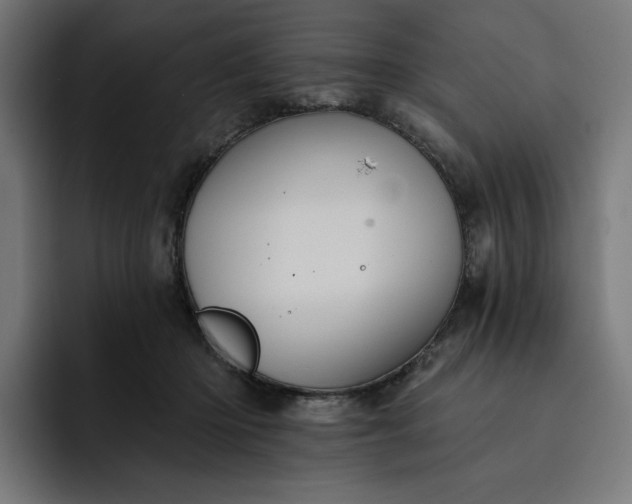 X0000093130414200710101102