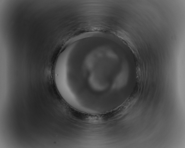 X0000093130415200710101102