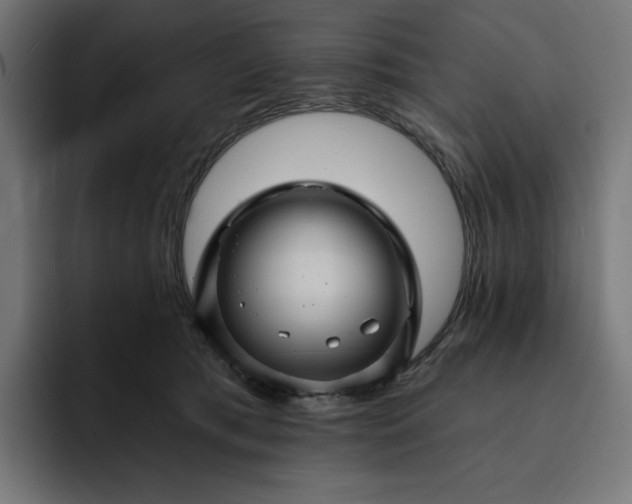 X0000093130417200710101102