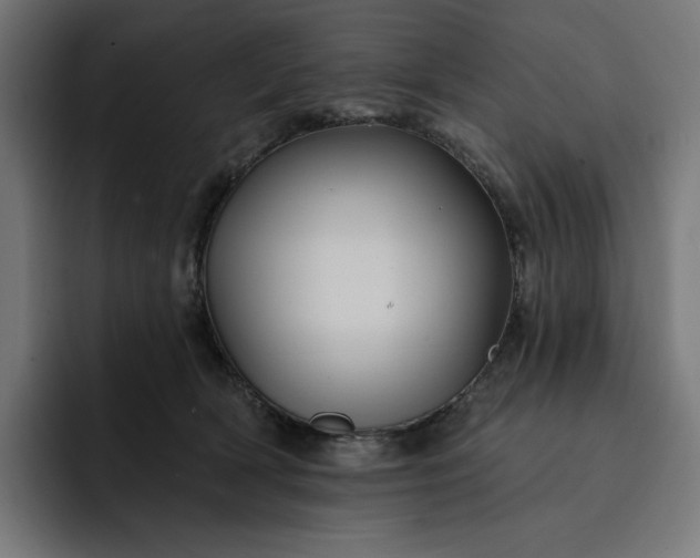 X0000093130418200710101102