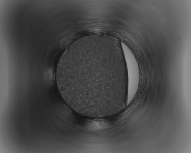 X0000093130420200710101102