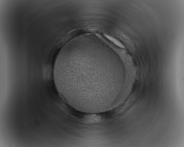 X0000093130421200710101102