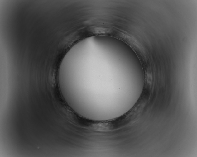 X0000093130422200710101102