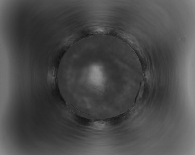 X0000093130423200710101102