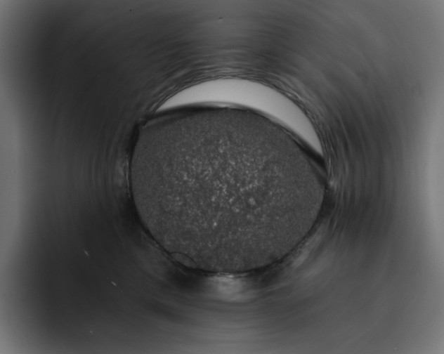 X0000093130425200710101102