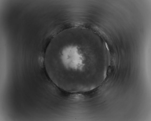 X0000093130427200710101102