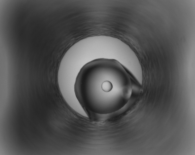 X0000093130428200710101102