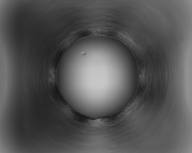 X0000093130430200710101102