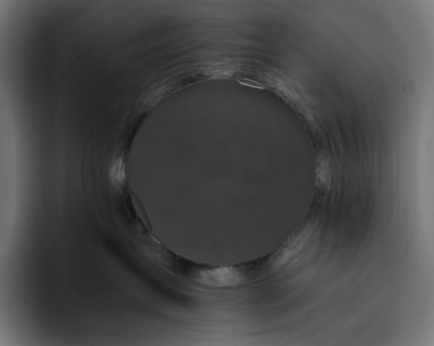 X0000093130431200710101102