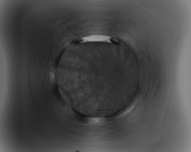 X0000093130432200710101102