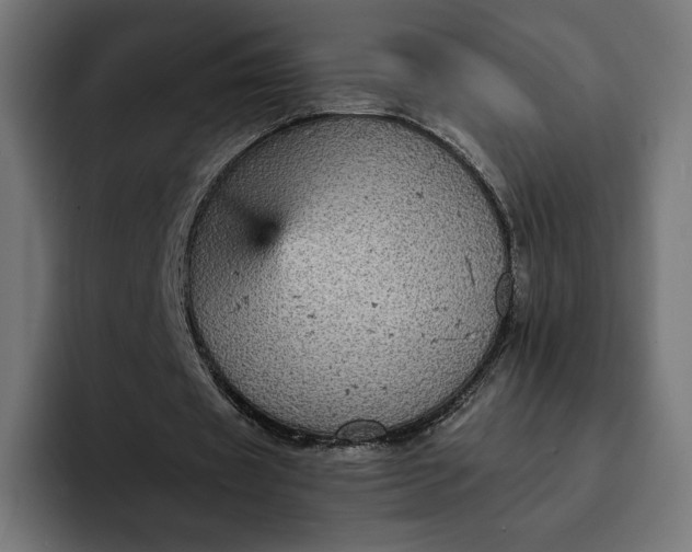 X0000093130433200710101102