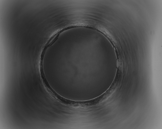 X0000093130434200710101102