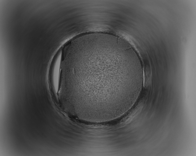 X0000093130435200710101102