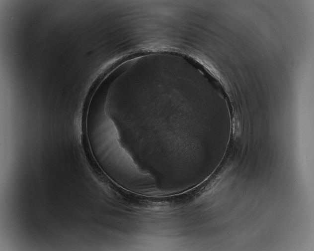 X0000093130438200710101102