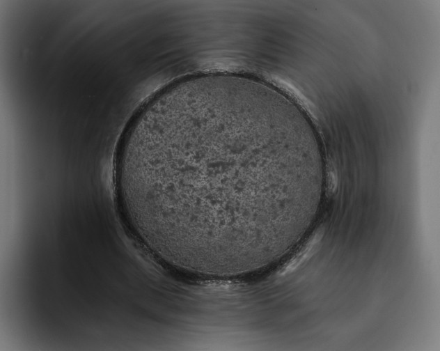 X0000093130439200710101102