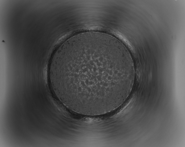 X0000093130442200710101102