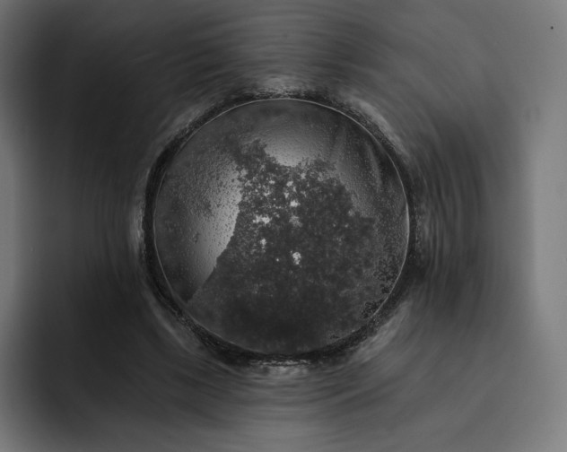 X0000093130443200710101102