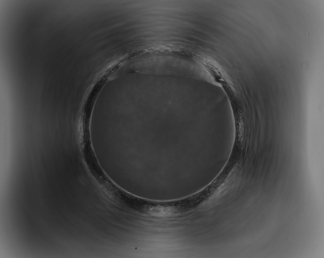 X0000093130444200710101102