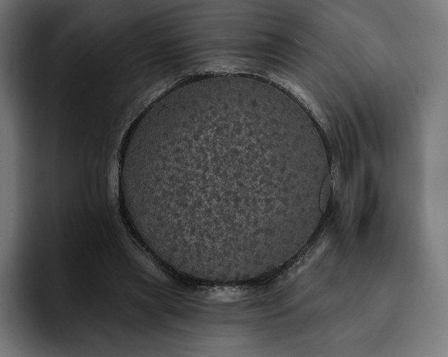 X0000093130445200710101102