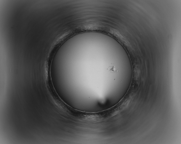 X0000093130446200710101102