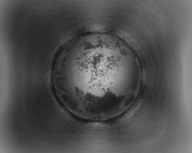 X0000093130449200710101102