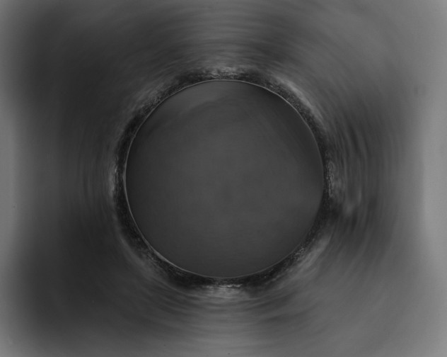 X0000093130451200710101102