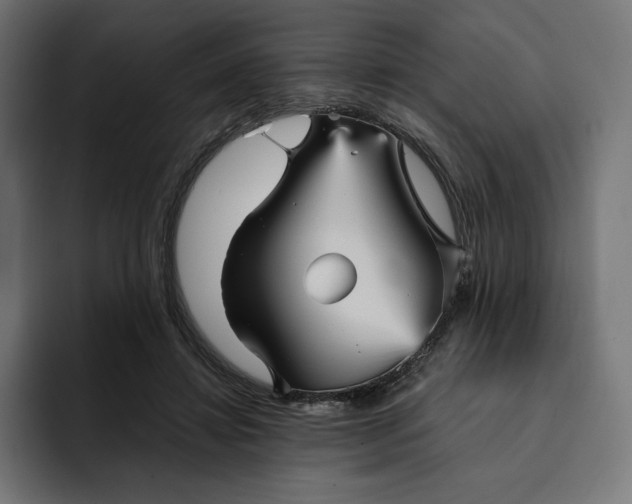 X0000093130452200710101102