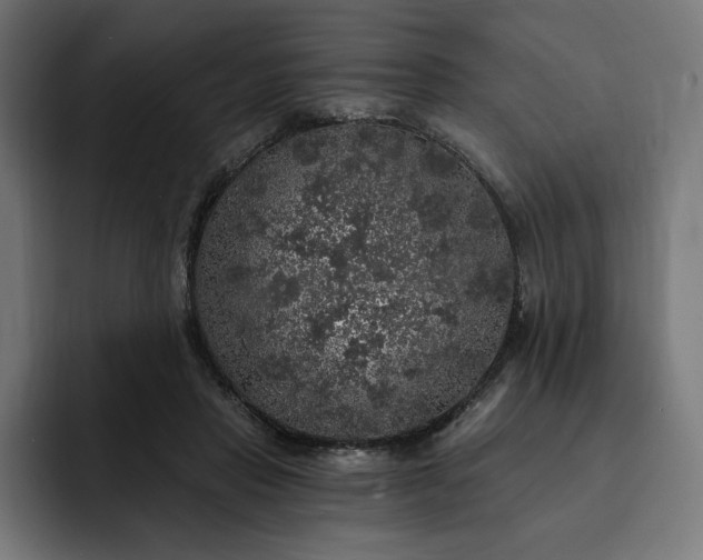 X0000093130453200710101102