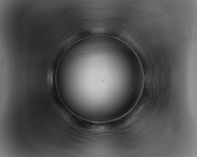 X0000093130454200710101102