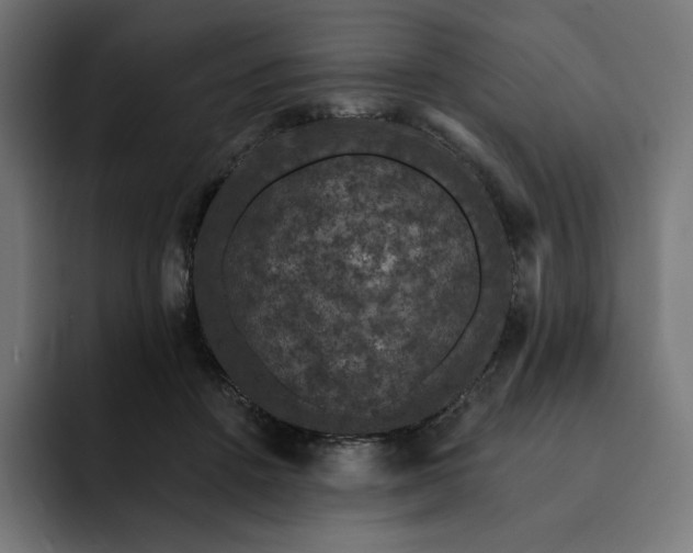 X0000093130456200710101102