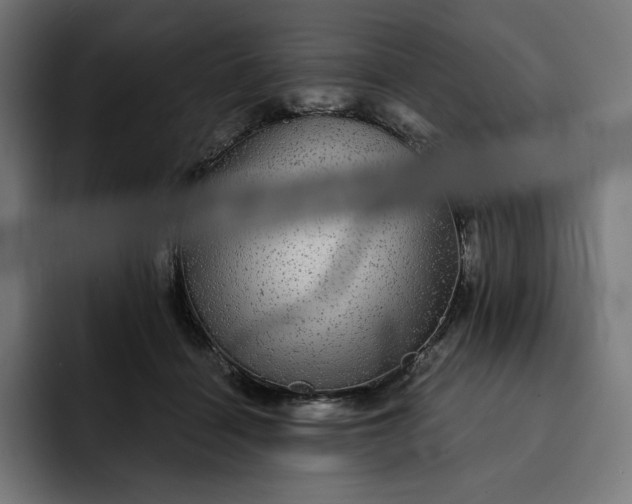 X0000093130460200710101102