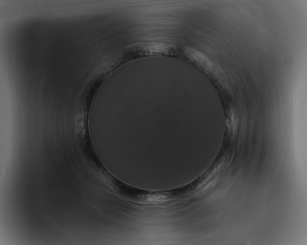 X0000093130462200710101102