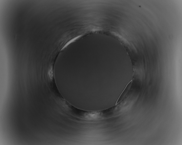 X0000093130479200710101102