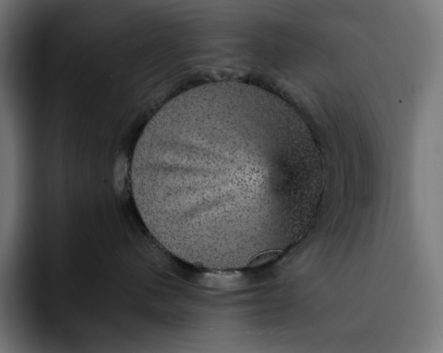 X0000093130480200710101102