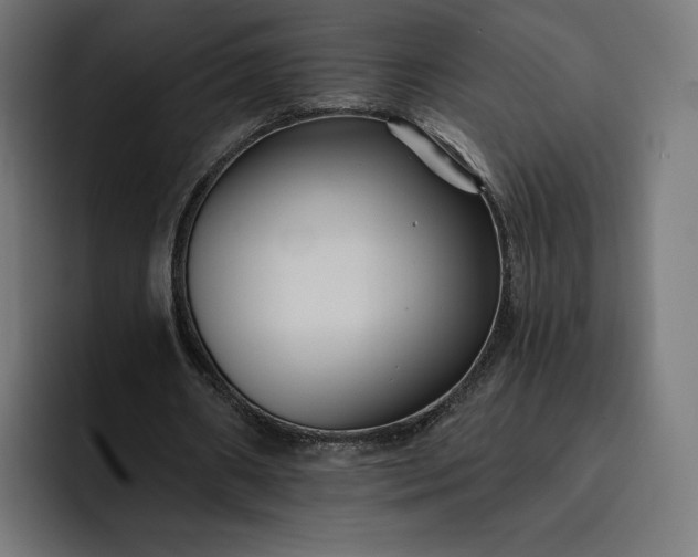 X0000093130482200710101102