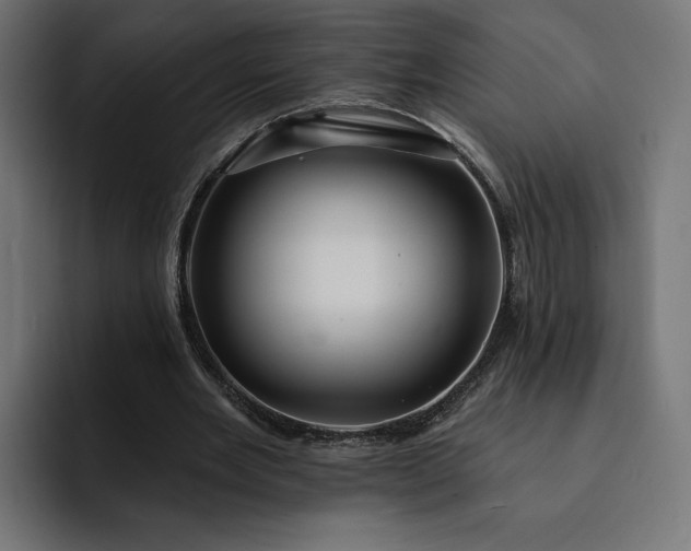 X0000093130485200710101102