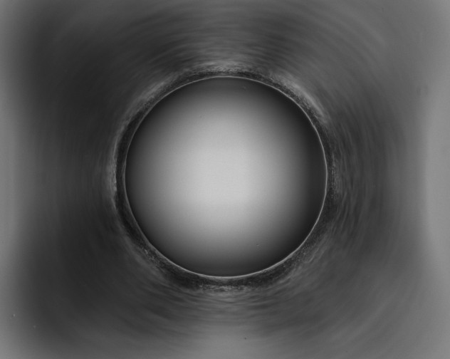 X0000093130486200710101102