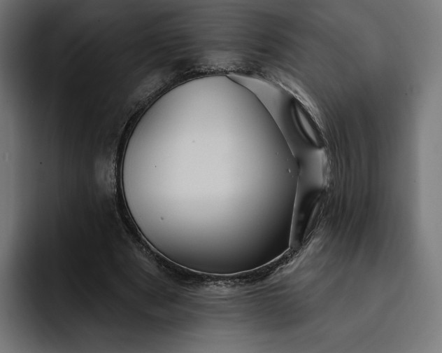 X0000093130489200710101102