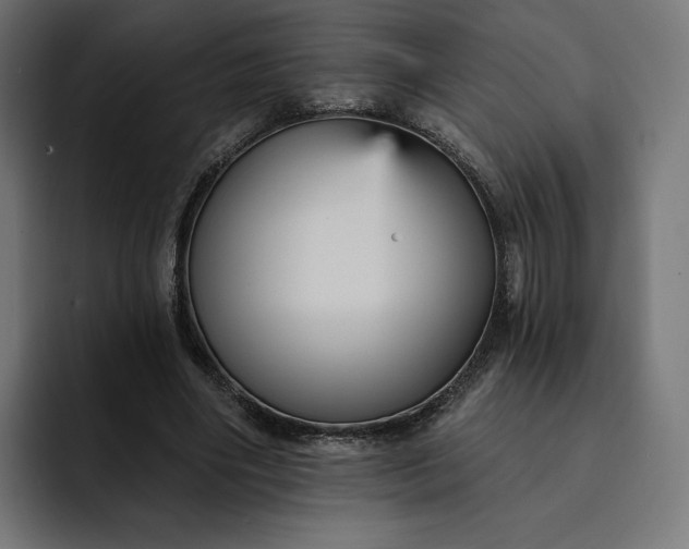 X0000093130490200710101102