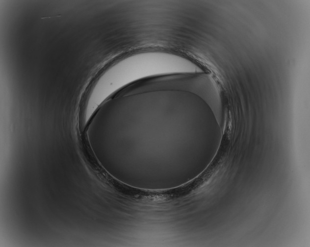 X0000093130492200710101101