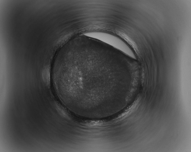 X0000093130493200710101101