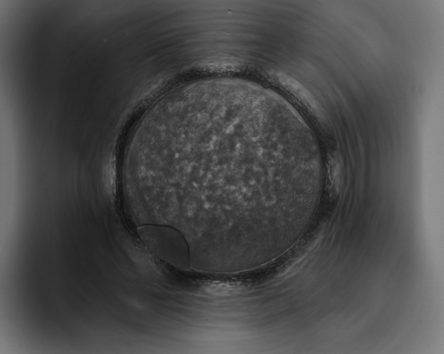 X0000093130494200710101101