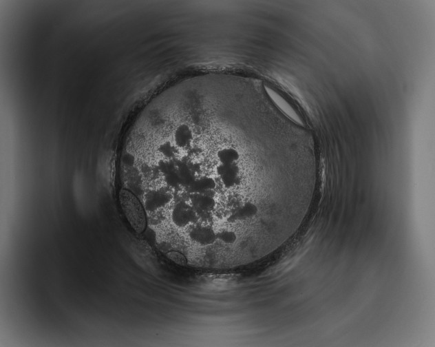 X0000093130495200710101101