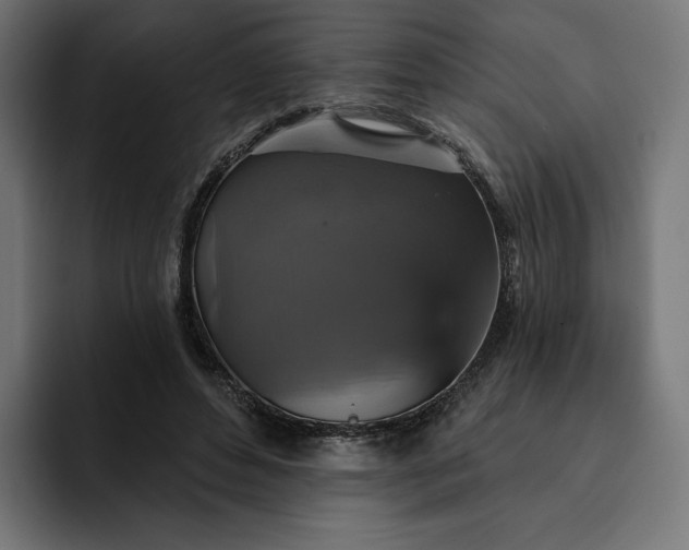 X0000093130496200710101101