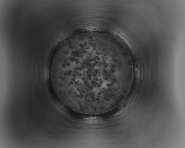 X0000093130499200710101101