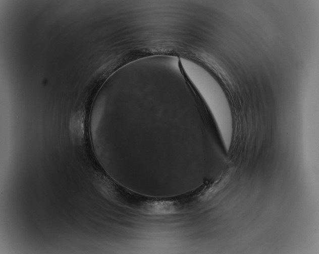 X0000093130501200710101101