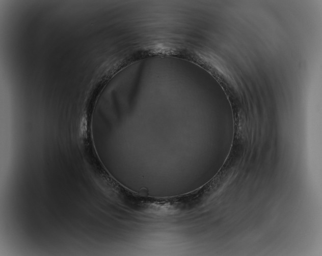 X0000093130502200710101101