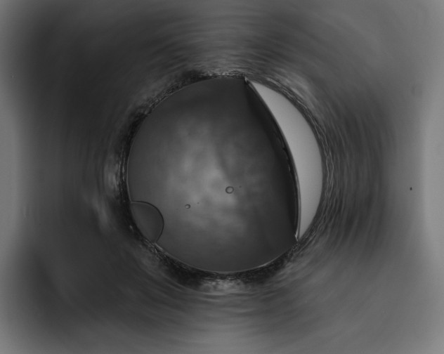 X0000093130503200710101101