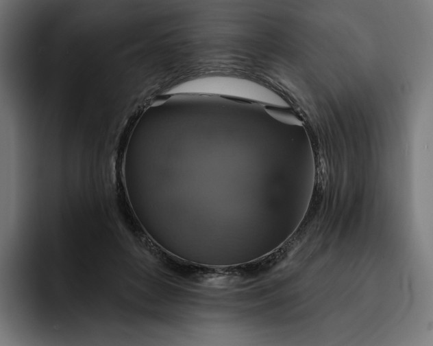 X0000093130504200710101101